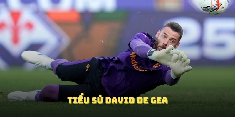Tiểu sử David de Gea sẽ cho bạn góc nhìn đủ hơn