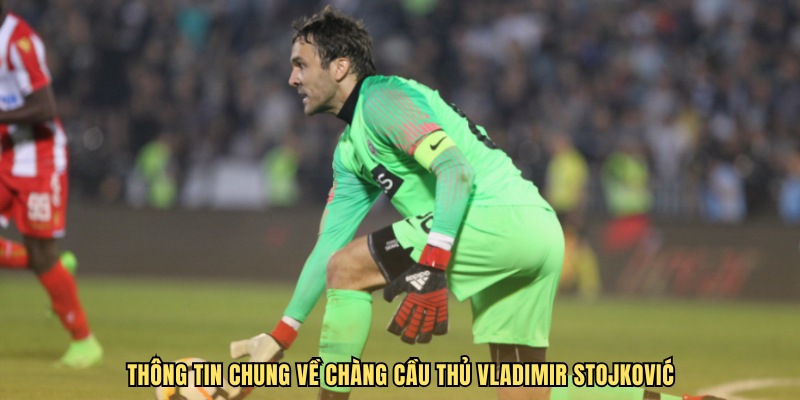 Thông tin chung về chàng cầu thủ Vladimir Stojković